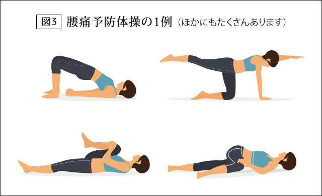 （図3）腰痛予防体操の1例