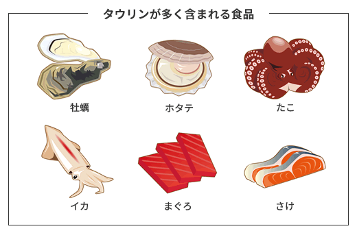 タウリンが多く含まれる食品